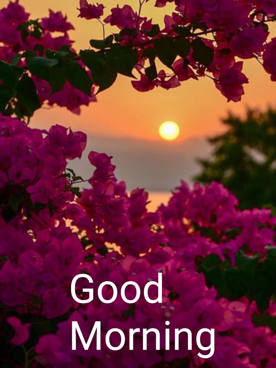 31+ Amazing Good Morning Prayer Message for My Love 3 31+ Amazing Good Morning Prayer Message for My Love 2025